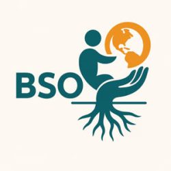 Business Software Outsourcing S.A.S  "BSO S.A.S"